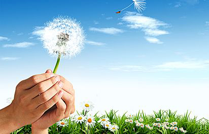 模仿其他公司網(wǎng)站與模板網(wǎng)站和定制網(wǎng)站有何不同